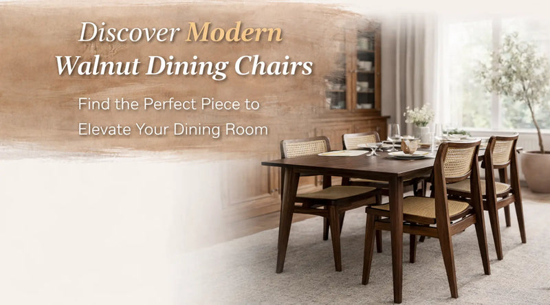 Modern Walnut Dining Chairs: Design, Comfort & Buying Guide